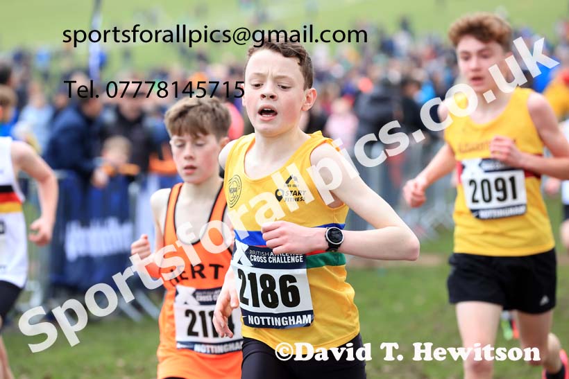 Boys Under-13s, 2024 CAU Inter Counties Cross Country Champs., Wollaton Park, Nottingham. Photo: David T. Hewitson/Sports for All Pics